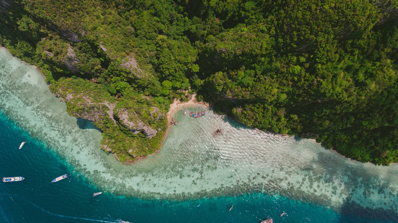 浅歌 第24页