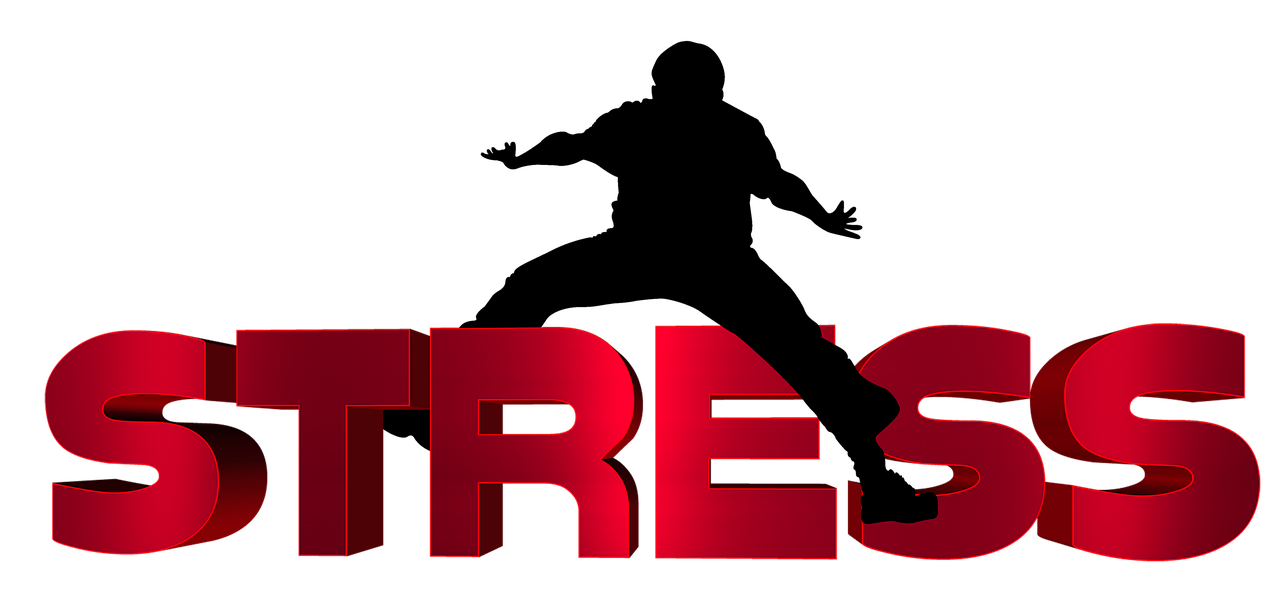 齐河二手车最新信息概览,最新动态一网打尽