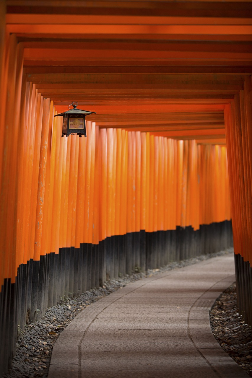 成都新机场建设最新进展报告,最新动态揭秘